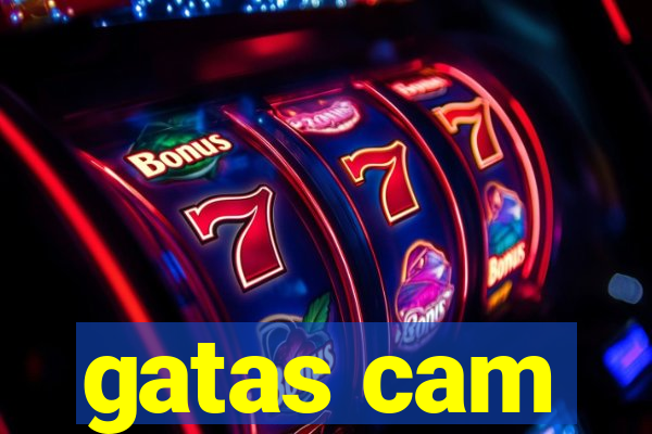 gatas cam